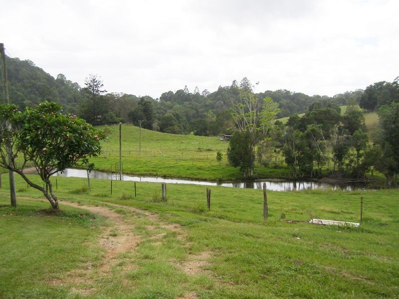 267 Chilcotts Road, Crystal Creek NSW 2484
