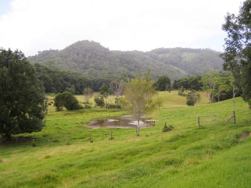 267 Chilcotts Road, Crystal Creek NSW 2484
