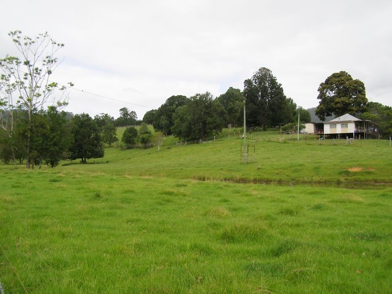 267 Chilcotts Road, Crystal Creek NSW 2484