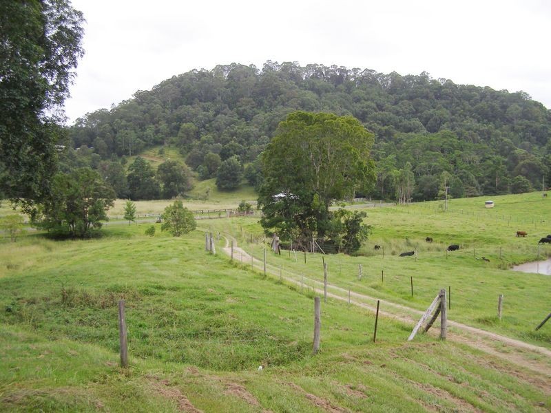 267 Chilcotts Road, Crystal Creek NSW 2484