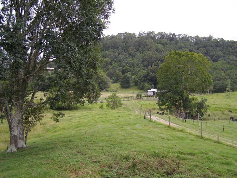 267 Chilcotts Road, Crystal Creek NSW 2484