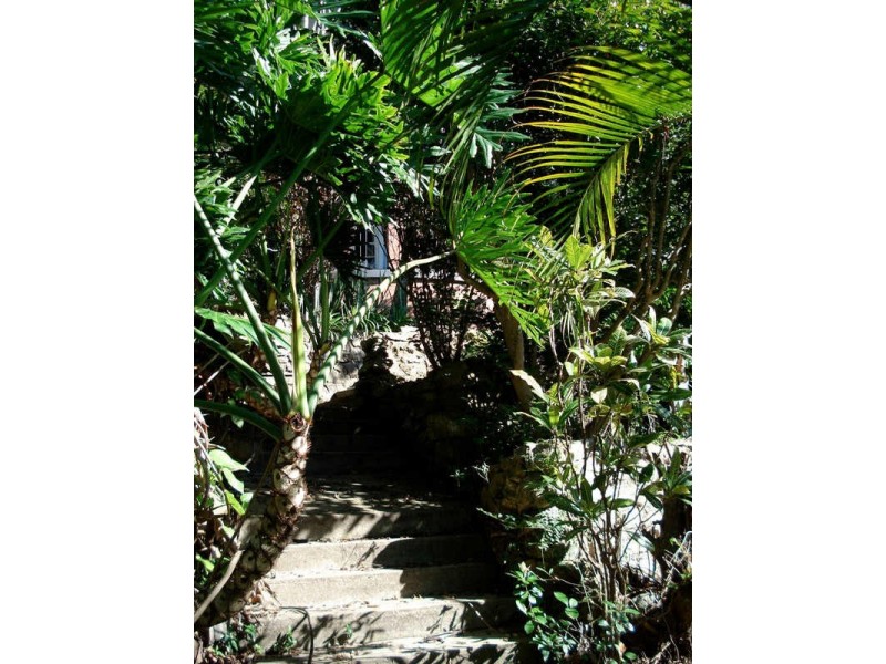 Murwillumbah NSW 2484