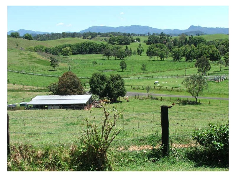 645 Stokers Rd, Dunbible NSW 2484