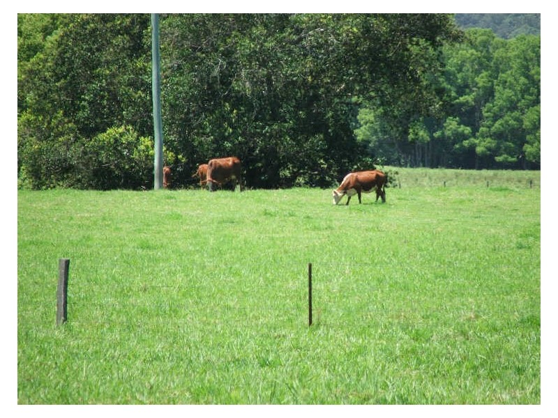 645 Stokers Rd, Dunbible NSW 2484