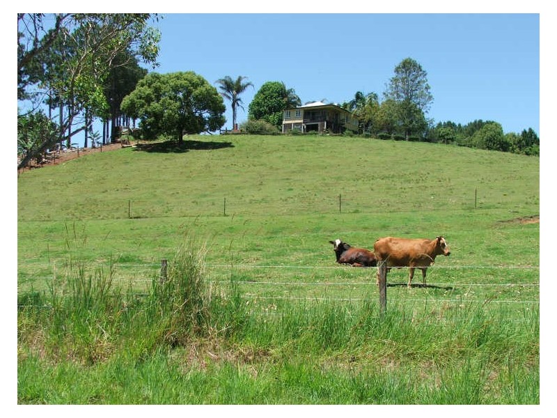 645 Stokers Rd, Dunbible NSW 2484