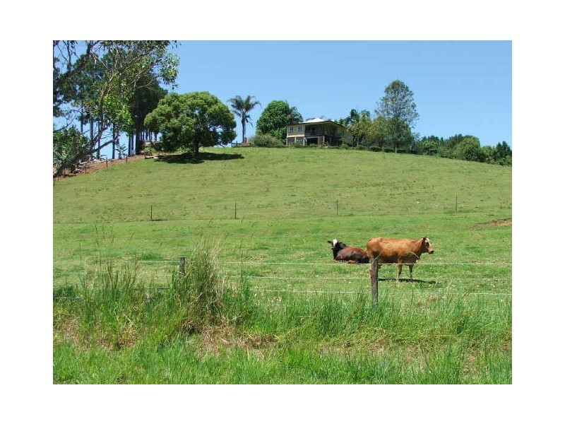 645 Stokers Rd, Dunbible NSW 2484