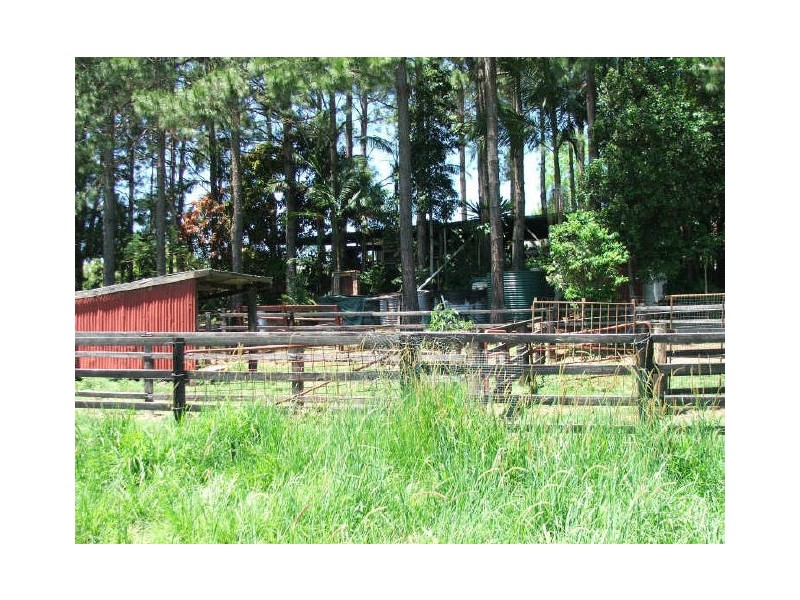 645 Stokers Rd, Dunbible NSW 2484