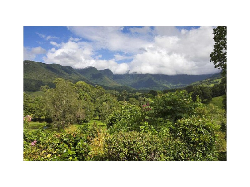 Murwillumbah NSW 2484