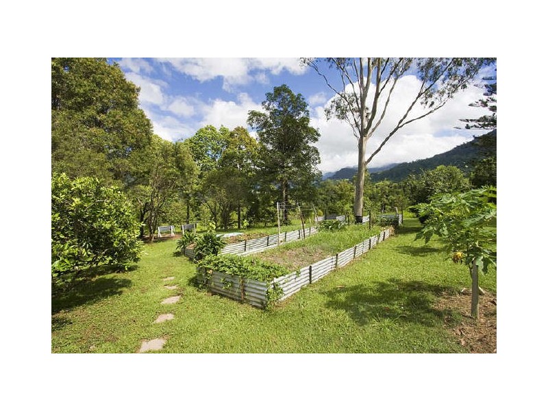 Murwillumbah NSW 2484