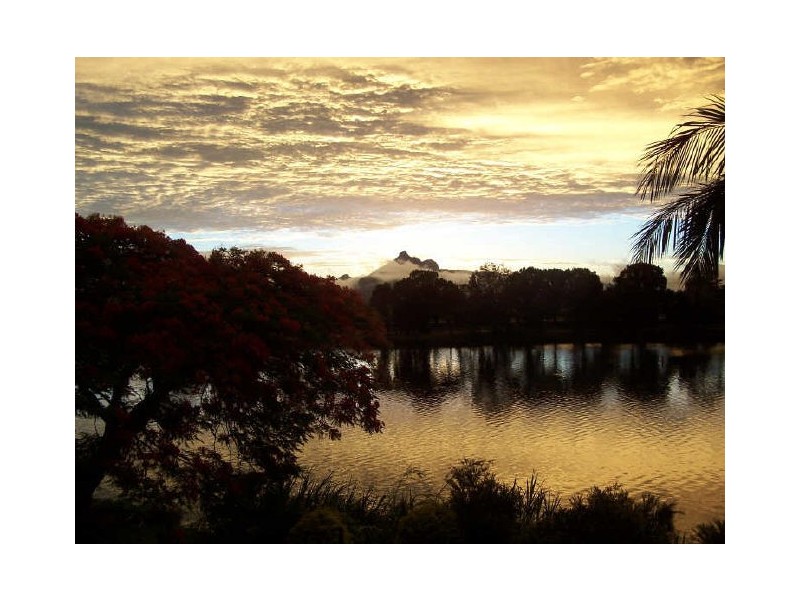 Murwillumbah NSW 2484