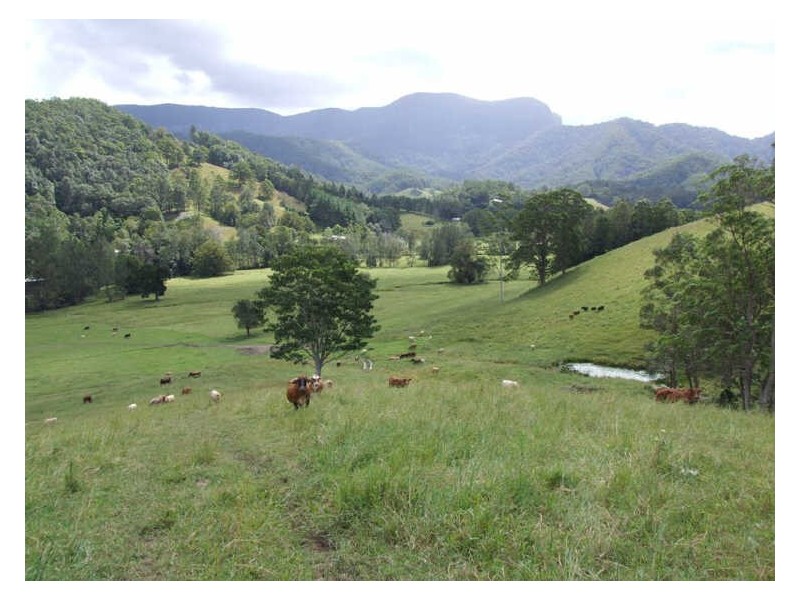 420 Upper Crystal Creek Road, Crystal Creek NSW 2484