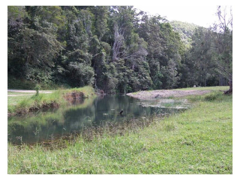 420 Upper Crystal Creek Road, Crystal Creek NSW 2484