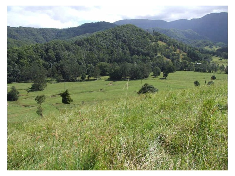 420 Upper Crystal Creek Road, Crystal Creek NSW 2484