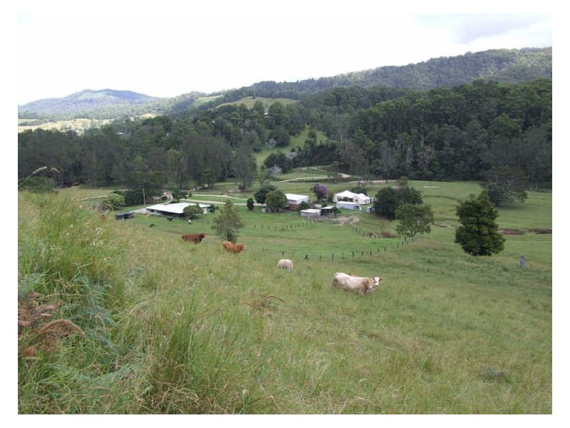 420 Upper Crystal Creek Road, Crystal Creek NSW 2484