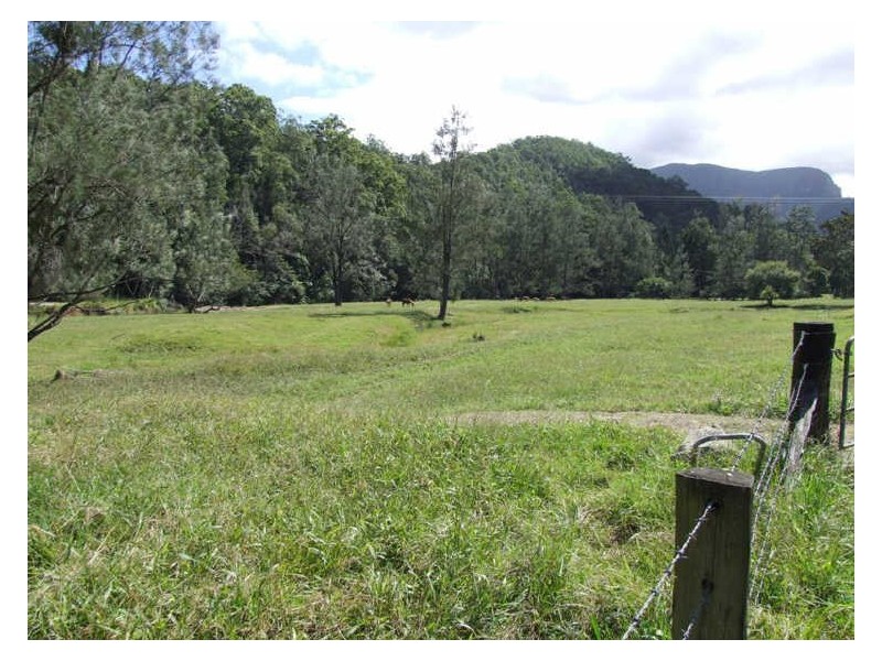 420 Upper Crystal Creek Road, Crystal Creek NSW 2484