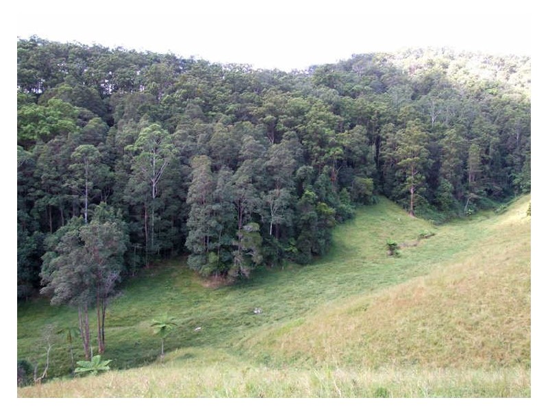 420 Upper Crystal Creek Road, Crystal Creek NSW 2484