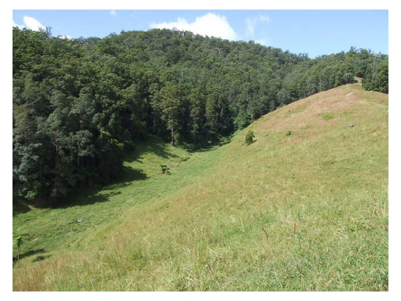 420 Upper Crystal Creek Road, Crystal Creek NSW 2484