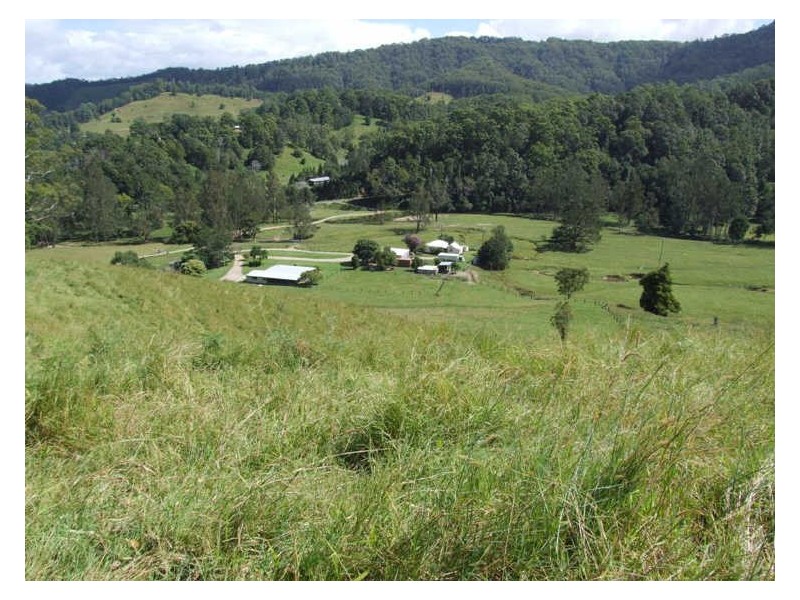 420 Upper Crystal Creek Road, Crystal Creek NSW 2484