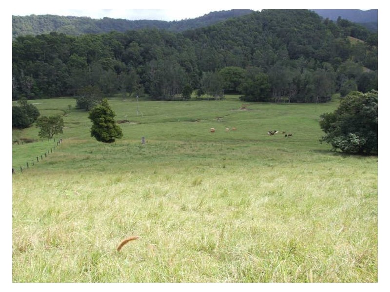 420 Upper Crystal Creek Road, Crystal Creek NSW 2484