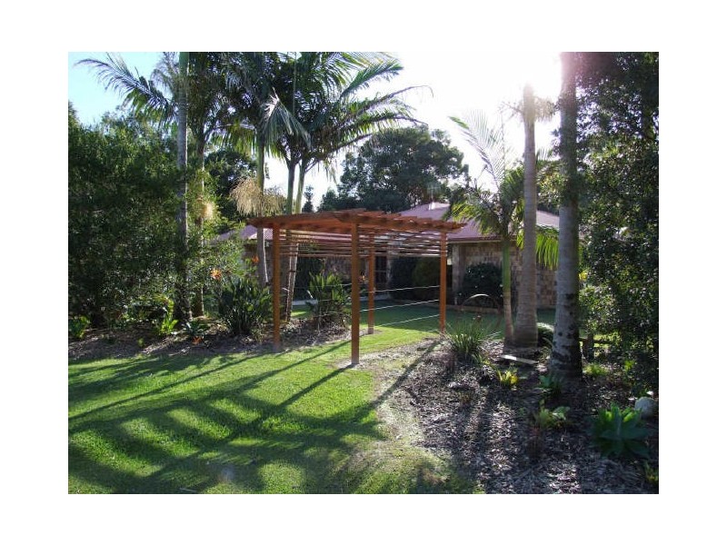 Murwillumbah NSW 2484