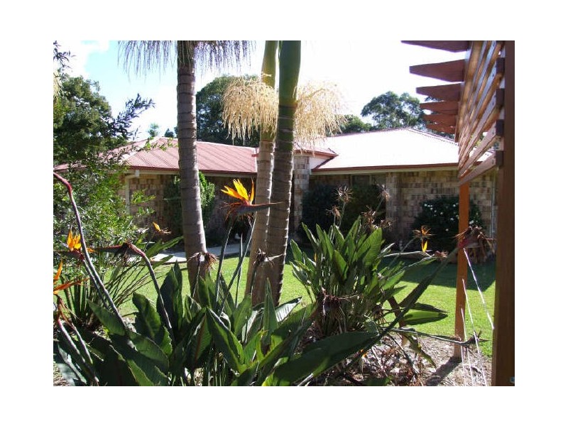 Murwillumbah NSW 2484
