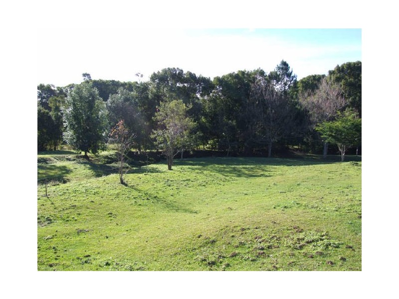 Murwillumbah NSW 2484