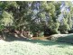 Murwillumbah NSW 2484
