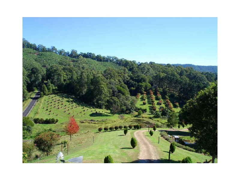 5 Benelong Place, Stokers Siding NSW 2484