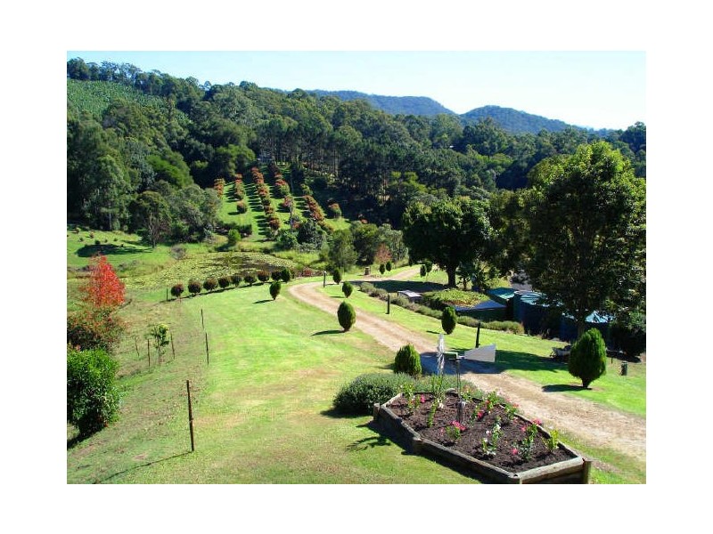 5 Benelong Place, Stokers Siding NSW 2484