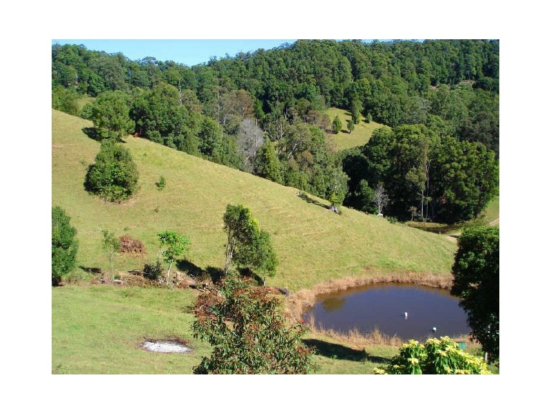 5 Benelong Place, Stokers Siding NSW 2484