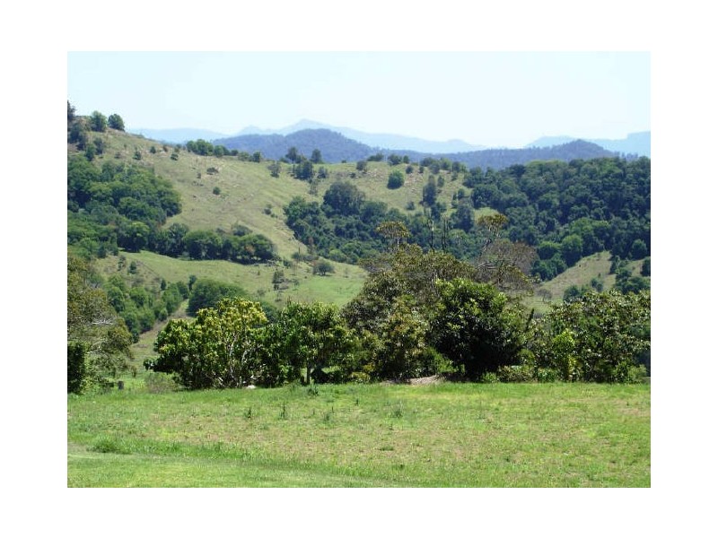 Murwillumbah NSW 2484