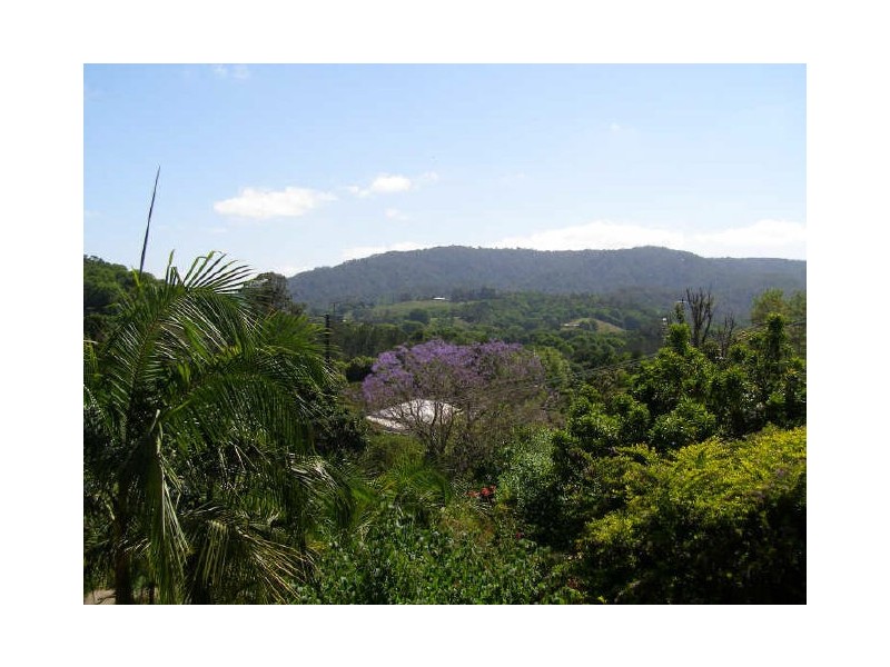 Murwillumbah NSW 2484