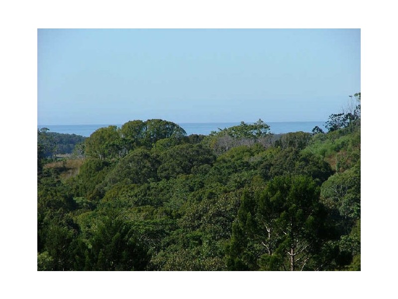 Murwillumbah NSW 2484