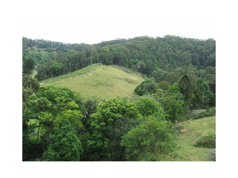 Murwillumbah NSW 2484