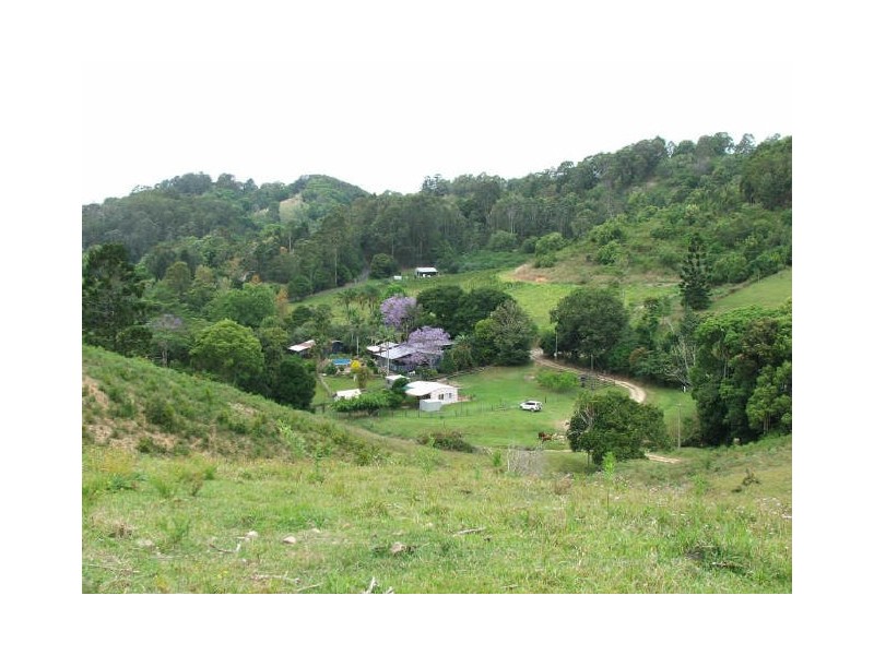 Murwillumbah NSW 2484