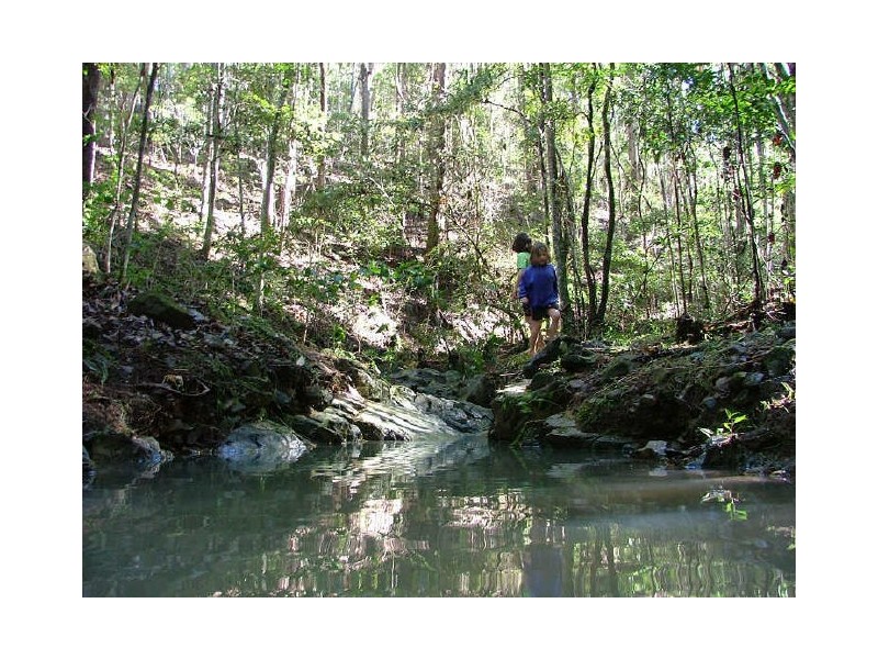 Murwillumbah NSW 2484