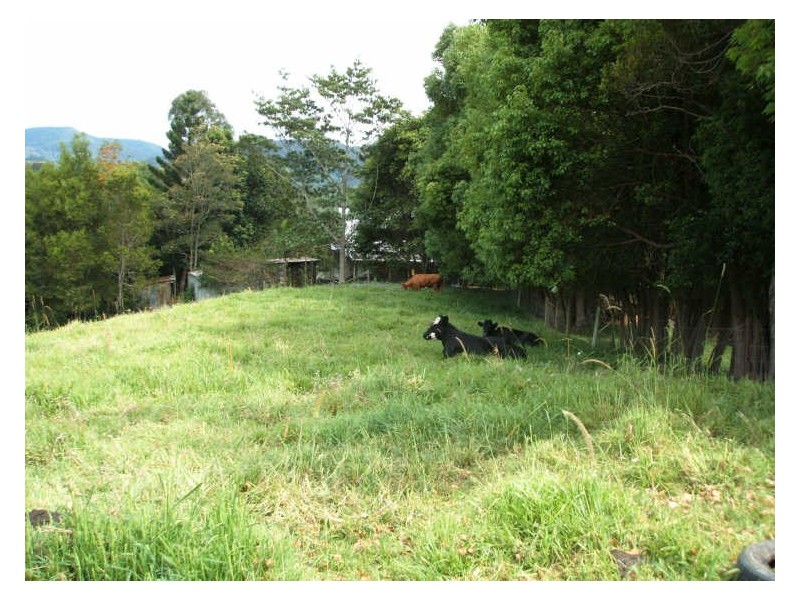 16 Hinchinbrook Road, Burringbar NSW 2483