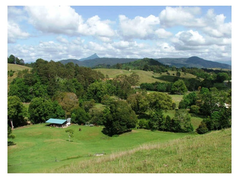 241 Nolans Rd, Stokers Siding NSW 2484
