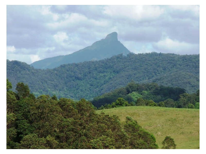 241 Nolans Rd, Stokers Siding NSW 2484