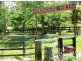 241 Nolans Rd, Stokers Siding NSW 2484