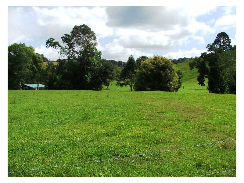 241 Nolans Rd, Stokers Siding NSW 2484