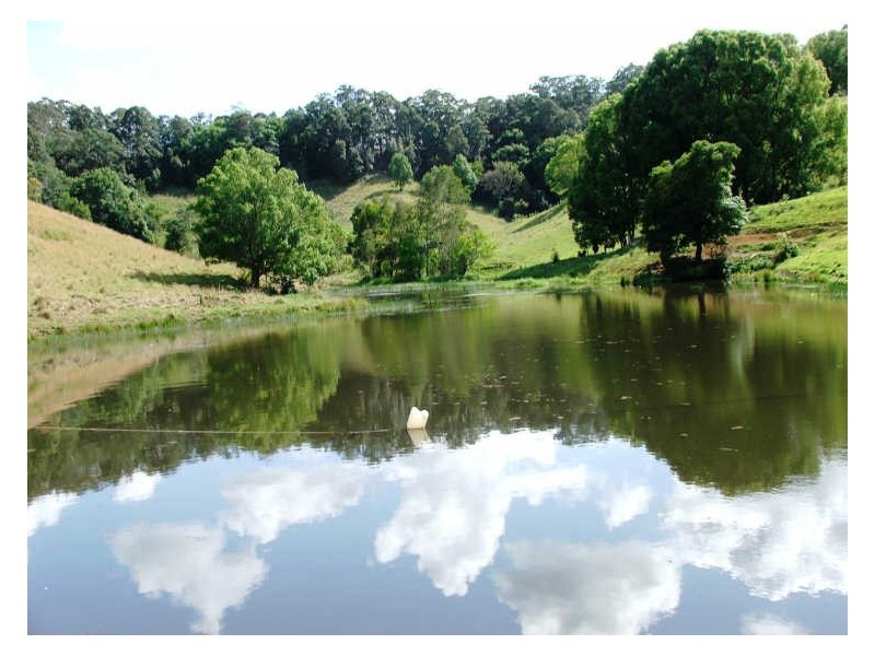 241 Nolans Rd, Stokers Siding NSW 2484