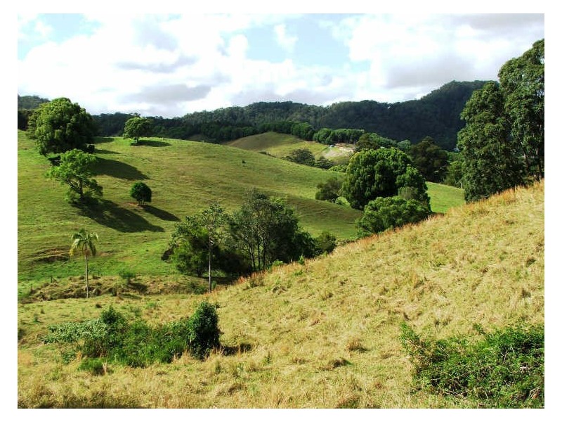 241 Nolans Rd, Stokers Siding NSW 2484