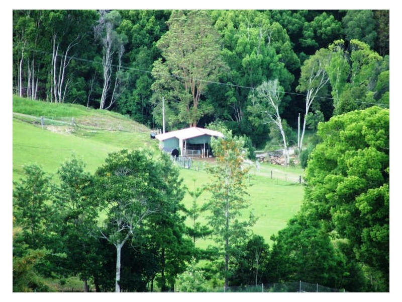 241 Nolans Rd, Stokers Siding NSW 2484
