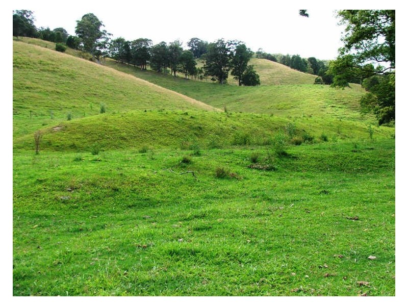 241 Nolans Rd, Stokers Siding NSW 2484
