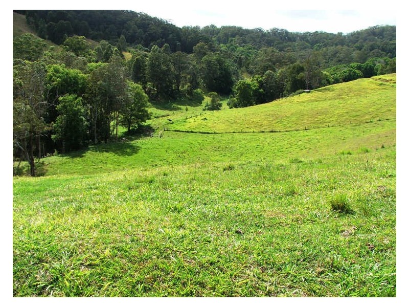 241 Nolans Rd, Stokers Siding NSW 2484
