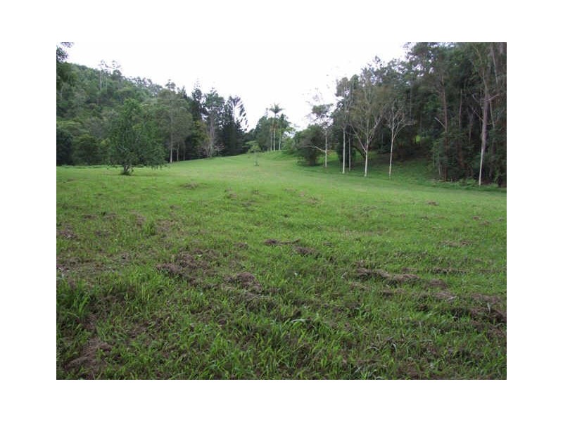 723 Rowlands Ck Rd, Uki NSW 2484