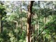723 Rowlands Ck Rd, Uki NSW 2484