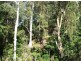 723 Rowlands Ck Rd, Uki NSW 2484