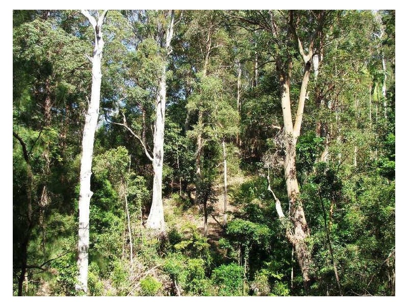 723 Rowlands Ck Rd, Uki NSW 2484